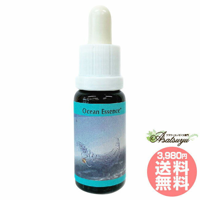 No.17 コルテPHIエッセンス オーシャンエッセンス フラワーエッセンス