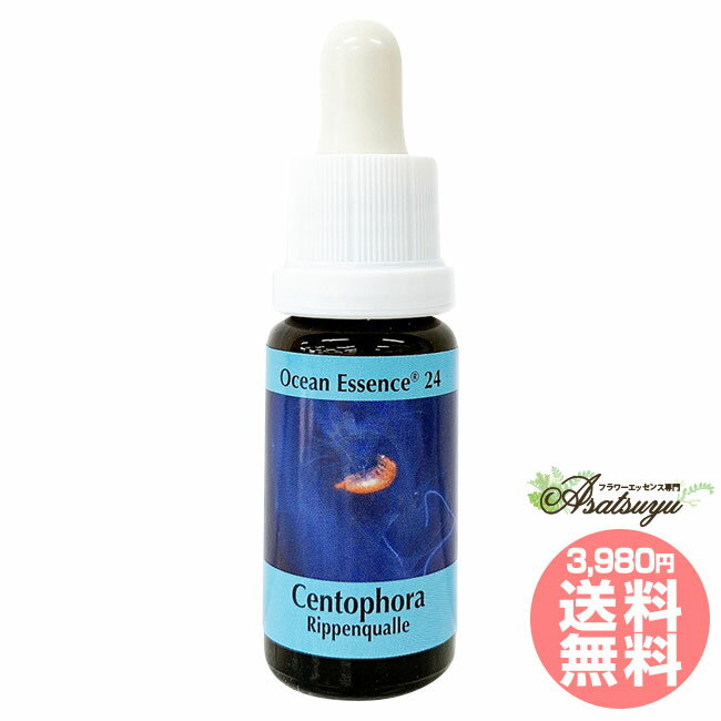 No.24 コルテPHIエッセンス オーシャンエッセンス フラワーエッセンス