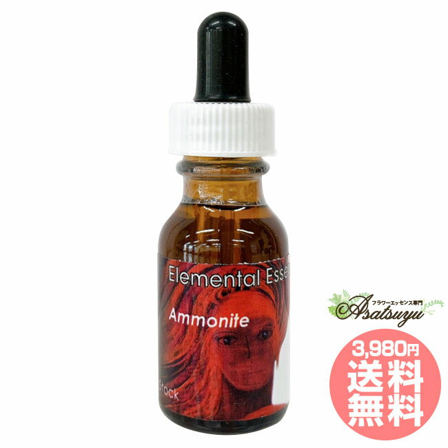 アンモナイト Ammonite セイクレッドエイトエッセンス エレメンタルエッセンス フラワーエッセンス