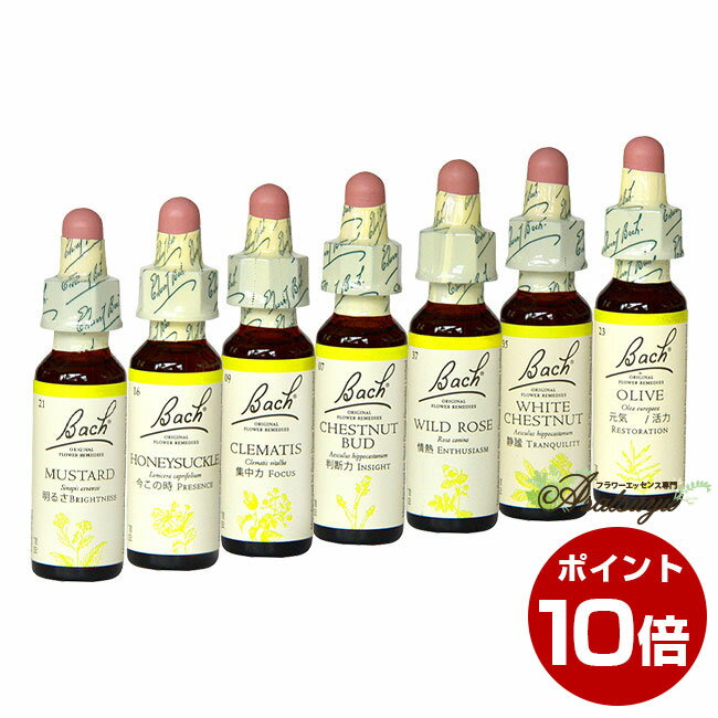 60 Off マラソン限定ポイント10倍 現実に無関心 バッチフラワーレメディ バッチ目的別 海外輸入 Www Gestalt Cl 60 Off マラソン限定ポイント10倍 現実に無関心 バッチフラワーレメディ バッチ目的別 海外輸入 Www Gestalt Cl