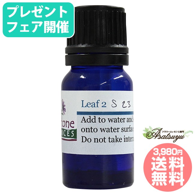 【購入でプレゼント】 リーフ2 夏至限定 10ml ペタルトーン シャーマニックツールズ フラワーエッセンスのサムネイル