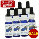 【クーポン配布中】 フューチャーエナジーズ ライトワーカーサポート 全7本 The Future Energies Lightworkers Support Kit アンジェリックエッセンス フューチャーエナジーズ ライトワーカーサポート フラワーエッセンス