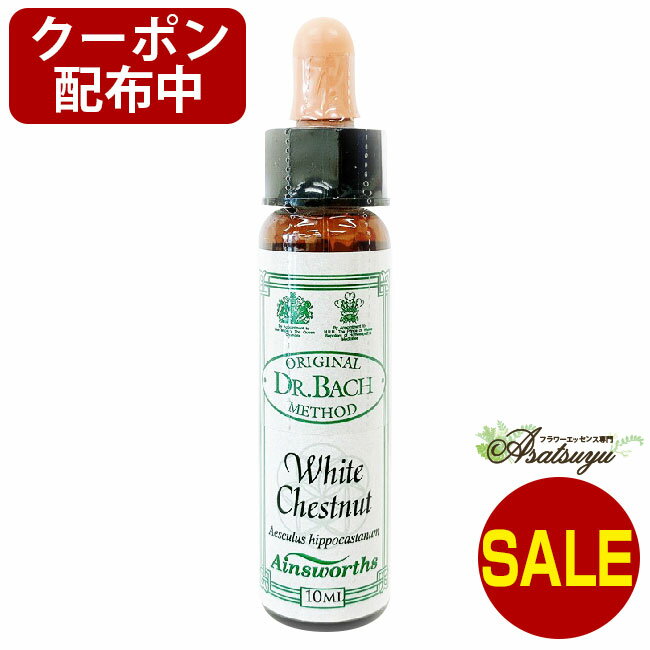 【ポイント6倍(マラソン限定)】 ホワイトチェストナット White Chestnut エインズワースレメディ エッセンス フラワーエッセンス 【エントリーで更に+4倍で計ポイント10倍】のサムネイル