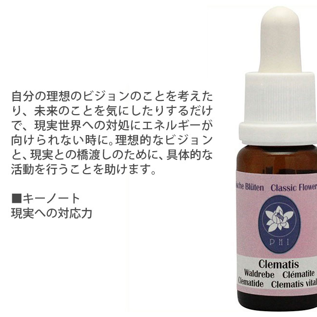 クレマチス コルテPHIエッセンス クラシックエッセンス フラワーエッセンス