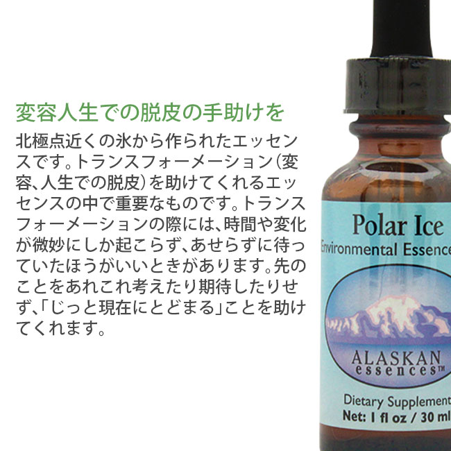 ポーラーアイス 30ml アラスカン・エッセンス エンバイロメンタル 環境 フラワーエッセンス