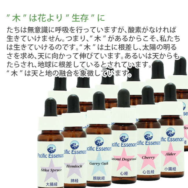 ツリーエッセンス 全12本 パシフィックエッセンス ツリーエッセンス フラワーエッセンス