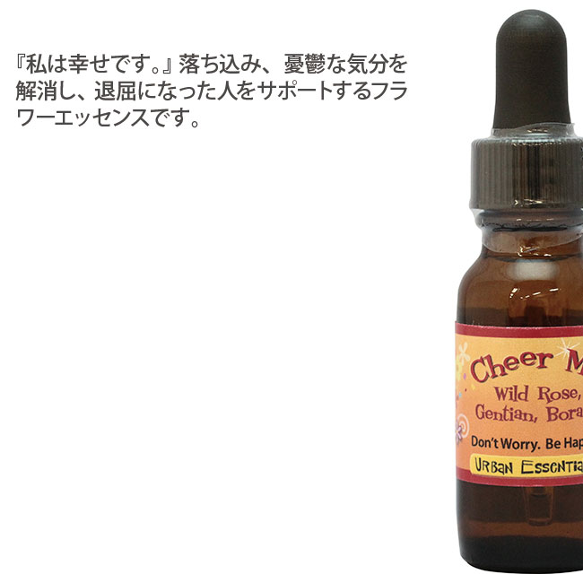 奥野晴明堂 香の郷（そよか） 短寸8箱 桐箱入り