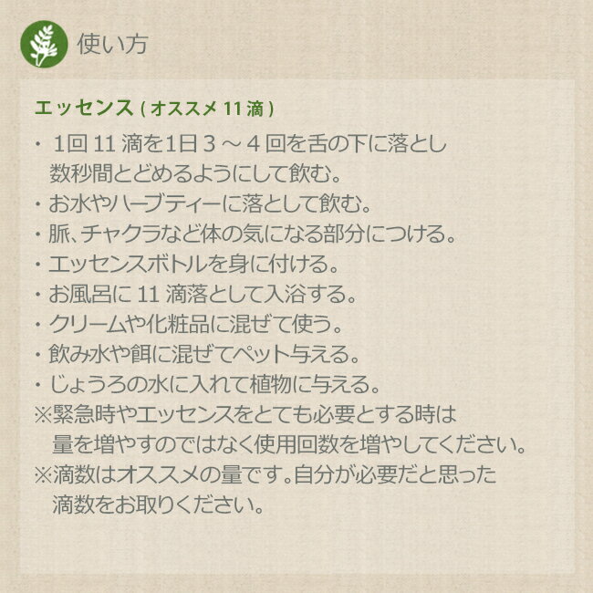マラソン限定クーポン アポフィライト 魚岩石 パシフィックエッセンス ジェムエッセンス メール便