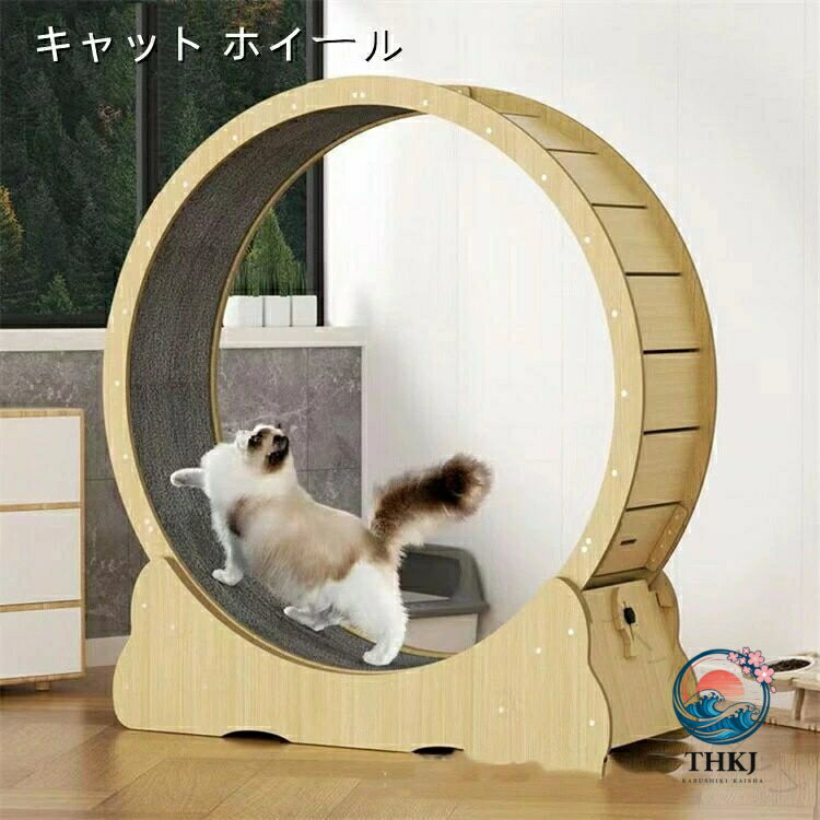 江東区亀戸引き取り限定 キャットホイール ローラーキャットランニングホイールL型 r22195686baf3_1.jpg