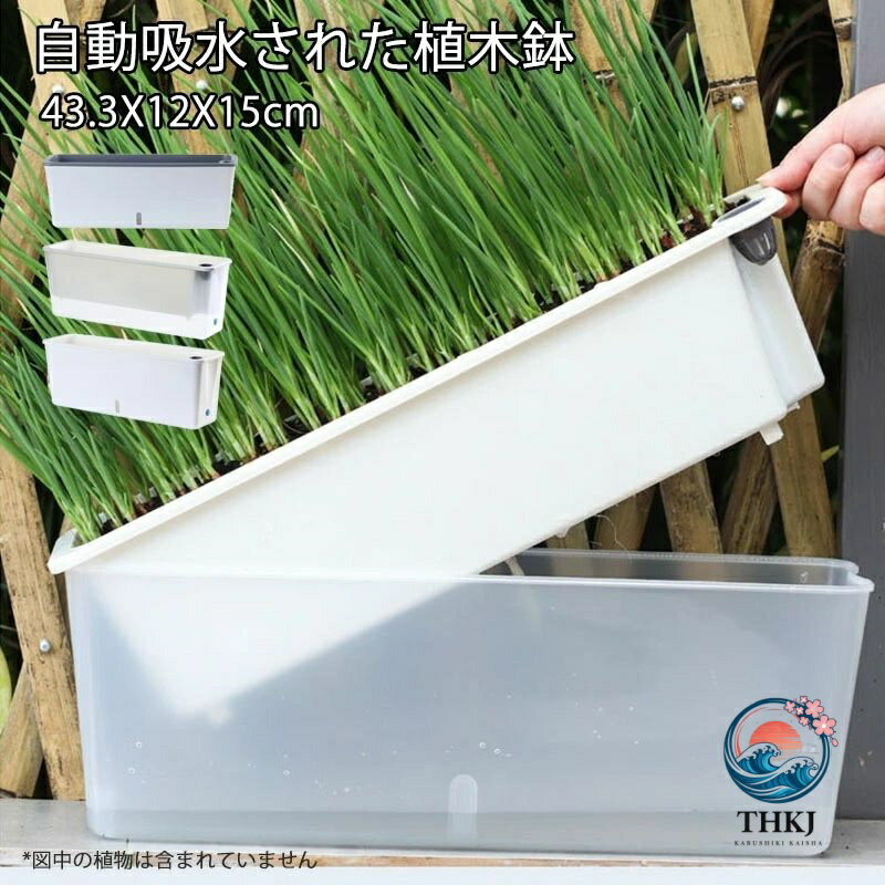 底面給水 鉢 ミニ 水可視 植木鉢 43.3X12X15cm プランター 自動吸水 pp プラ鉢 長方形 注水口 排水穴付き 長い鉢 多肉植物 育苗ポット 家庭菜園 野菜 深型 プラスチック シンプル 観葉植物 屋内 屋外 バルコニー 庭 植物 花 透明ホワイト ホワイト グレーホワイト
