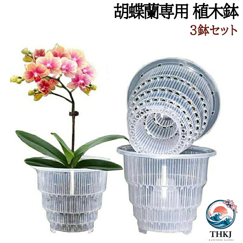 胡蝶蘭専用 植木鉢 3 鉢セット 多穴型 通気性抜群 根腐れ防止 観葉植物の鉢 直径 10cm 12cm 15cm 受皿付き 透明クリア 根が見える仕様 洋蘭 多肉植物 植え替え用