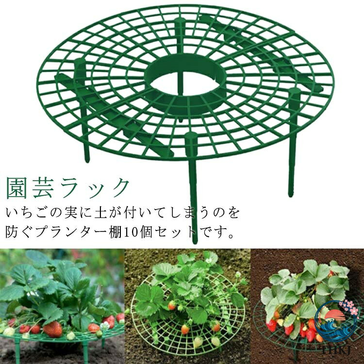 いちごの実に土が付いてしまうのを防ぐプランター棚10個セットです。 つるや茎の誘引が簡単にでき、果実を土から離すことにより、汚れや虫、菌などから護り、イチゴの熟成を促進させます。 プラスチック製で簡単に組立てができ、ネット状なので、水やりにも邪魔になりません。 ベランダやバルコニーでのガーデニングにも適しております。イチゴだけでなく、トマトやナスなどにもお使いいただけます。 サイズ 10個セット サイズについての説明 30*10CM 素材 プラスチック 色 グリーン 備考 ●サイズ詳細等の測り方はスタッフ間で統一、徹底はしておりますが、実寸は商品によって若干の誤差(1cm〜3cm )がある場合がございますので、予めご了承ください。●製造ロットにより、細部形状の違いや、同色でも色味に多少の誤差が生じます。●パッケージは改良のため予告なく仕様を変更する場合があります。▼商品の色は、撮影時の光や、お客様のモニターの色具合などにより、実際の商品と異なる場合がございます。あらかじめ、ご了承ください。▼生地の特性上、やや匂いが強く感じられるものもございます。数日のご使用や陰干しなどで気になる匂いはほとんど感じられなくなります。▼同じ商品でも生産時期により形やサイズ、カラーに多少の誤差が生じる場合もございます。 ▼他店舗でも在庫を共有して販売をしている為、受注後欠品となる場合もございます。予め、ご了承お願い申し上げます。 ▼出荷前に全て検品を行っておりますが、万が一商品に不具合があった場合は、お問い合わせフォームまたはメールよりご連絡頂けます様お願い申し上げます。速やかに対応致しますのでご安心ください。いちごの実に土が付いてしまうのを防ぐプランター棚10個セットです。 つるや茎の誘引が簡単にでき、果実を土から離すことにより、汚れや虫、菌などから護り、イチゴの熟成を促進させます。 プラスチック製で簡単に組立てができ、ネット状なので、水やりにも邪魔になりません。 ベランダやバルコニーでのガーデニングにも適しております。イチゴだけでなく、トマトやナスなどにもお使いいただけます。 サイズ 10個セット サイズについての説明 30*10CM 素材 プラスチック 色 グリーン 備考 ●サイズ詳細等の測り方はスタッフ間で統一、徹底はしておりますが、実寸は商品によって若干の誤差(1cm〜3cm )がある場合がございますので、予めご了承ください。●製造ロットにより、細部形状の違いや、同色でも色味に多少の誤差が生じます。●パッケージは改良のため予告なく仕様を変更する場合があります。▼商品の色は、撮影時の光や、お客様のモニターの色具合などにより、実際の商品と異なる場合がございます。あらかじめ、ご了承ください。▼生地の特性上、やや匂いが強く感じられるものもございます。数日のご使用や陰干しなどで気になる匂いはほとんど感じられなくなります。▼同じ商品でも生産時期により形やサイズ、カラーに多少の誤差が生じる場合もございます。 ▼他店舗でも在庫を共有して販売をしている為、受注後欠品となる場合もございます。予め、ご了承お願い申し上げます。 ▼出荷前に全て検品を行っておりますが、万が一商品に不具合があった場合は、お問い合わせフォームまたはメールよりご連絡頂けます様お願い申し上げます。速やかに対応致しますのでご安心ください。