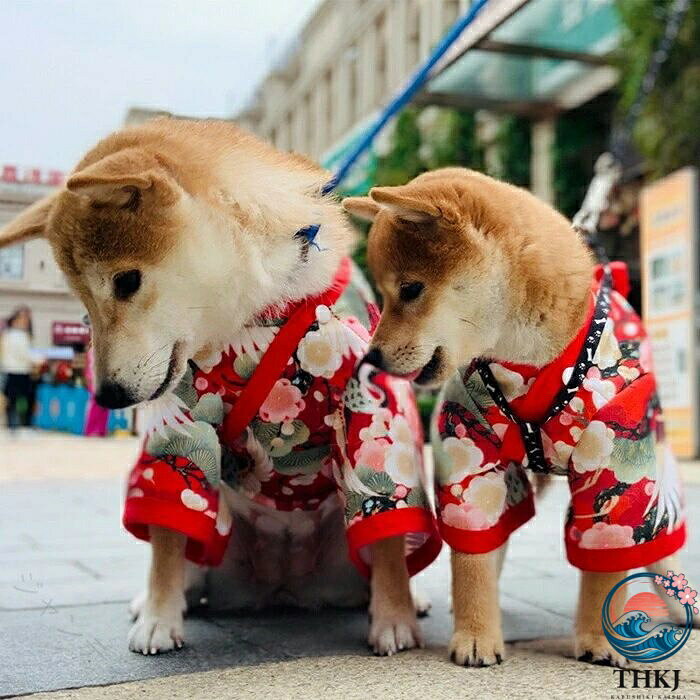 商品情報検索キーワード：犬 着物 猫 晴れ着 お正月 和柄 犬の服 ドックウェア 和服 ペッ おそろ 中型犬 小型犬 年賀状 記念日 きもの 撮影 かわいい 和 振袖 春 夏 秋 冬 着せやすい商品名：ペッ服 素　材:ポリエステルサイズ:XS/S/M/L/XL/2XL/3XL※実寸は平置きサイズです。1-4CMの誤差やタグ表記と異なる場合はごください。生産国：中国（日本人スタッフによる安心の検品体制）購入前のご注意※商品写真はできる限り実物と近づけるようにしておりますが、お使いのモニター設定、お部屋の照明等により実際の商品と色味が異なる場合がございます。※採寸はあくまで目安としてのもので、表記に多少の誤差（前後2〜3cm）が生じる場合があります。※生産時期により、色・サイズ・デザイが多少が異なる場合がございますので、複数の商品をご注文頂いた場合も多少に異なる場合があります。※当店の商品は全て日本人スタッフにより検品してからしたものです。海外からの輸入商品のため、縫製は日本製のものと比べて、 縫製の見劣、糸のほつれ、製造過程における小さなキズ、シミなどがある場合がございますが、不良品ではございません。予めごくださいませ。※各商品は各商品ページ選択肢のところに規定ある納期よりいたします。当店では複数店舗で在庫を共有しており、システムによる在庫調整を行っております。ご注文が集中した場合、タイミグにより在庫にずれが生じ欠品となる可能性がございます。 その際、当店での注文確認後にご案内させていただく場合がございますこと、予めごください。商品の保証初期不良の場合、未使用の商品のみ到着日から7日以内にご連絡いただければご返金、交換対応させていただきます。ご使用後の返金・交換は保証外となっております。大切な家族との思い出に・ 可愛い 柔らか 小型犬 中型犬 ドッグウェア おしゃれ 面白い お出掛け 写真 犬猫通用 犬用服 ペッ .犬着物 猫晴れ着 お正月 和柄 犬の服 ドックウェア 和服 ペット おそろ 中型犬 小型犬 年賀状 記念日 きもの 撮影 かわいい 和振袖 春 夏 秋 冬 着せやすい ペット服 袴 和装 祭り イベント 正月用 祝い着 ドッグウェア キャットウェア ペットコスチューム おしゃれ 防寒 軽量 柔らか素材 犬用 猫用 人気。 指定された配送時間は承っておりません。【ジャンティ】商品情報検索キーワード：犬 着物 猫 晴れ着 お正月 和柄 犬の服 ドックウェア 和服 ペッ おそろ 中型犬 小型犬 年賀状 記念日 きもの 撮影 かわいい 和 振袖 春 夏 秋 冬 着せやすい商品名：ペッ服 素　材:ポリエステルサイズ:XS/S/M/L/XL/2XL/3XL※実寸は平置きサイズです。1-4CMの誤差やタグ表記と異なる場合はごください。生産国：中国（日本人スタッフによる安心の検品体制）購入前のご注意※商品写真はできる限り実物と近づけるようにしておりますが、お使いのモニター設定、お部屋の照明等により実際の商品と色味が異なる場合がございます。※採寸はあくまで目安としてのもので、表記に多少の誤差（前後2〜3cm）が生じる場合があります。※生産時期により、色・サイズ・デザイが多少が異なる場合がございますので、複数の商品をご注文頂いた場合も多少に異なる場合があります。※当店の商品は全て日本人スタッフにより検品してからしたものです。海外からの輸入商品のため、縫製は日本製のものと比べて、 縫製の見劣、糸のほつれ、製造過程における小さなキズ、シミなどがある場合がございますが、不良品ではございません。予めごくださいませ。※各商品は各商品ページ選択肢のところに規定ある納期よりいたします。当店では複数店舗で在庫を共有しており、システムによる在庫調整を行っております。ご注文が集中した場合、タイミグにより在庫にずれが生じ欠品となる可能性がございます。 その際、当店での注文確認後にご案内させていただく場合がございますこと、予めごください。商品の保証初期不良の場合、未使用の商品のみ到着日から7日以内にご連絡いただければご返金、交換対応させていただきます。ご使用後の返金・交換は保証外となっております。大切な家族との思い出に・ 可愛い 柔らか 小型犬 中型犬 ドッグウェア おしゃれ 面白い お出掛け 写真 犬猫通用 犬用服 ペッ .犬着物 猫晴れ着 お正月 和柄 犬の服 ドックウェア 和服 ペット おそろ 中型犬 小型犬 年賀状 記念日 きもの 撮影 かわいい 和振袖 春 夏 秋 冬 着せやすい ペット服 袴 和装 祭り イベント 正月用 祝い着 ドッグウェア キャットウェア ペットコスチューム おしゃれ 防寒 軽量 柔らか素材 犬用 猫用 人気。 指定された配送時間は承っておりません。【ジャンティ】
