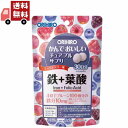 商品紹介 ●1日目安量(4粒)1日目安量4粒でプルーン100個分の鉄分10mgが補給できます。 ●果汁をしっかりと配合し、食べやすく美味しいチュアブルを作りました。通常のサプリメントには無い美味しさがありますので、お菓子感覚で、体に良い成分を摂取できます。 ●鉄の働きをサポートする銅、葉酸配合 栄養機能食品としてビタミンB6、ビタミンB12、ビタミンCを配合しました。 ビタミンB6は、タンパク質からのエネルギー産生と皮膚や粘膜の健康維持を助ける栄養素です。 ビタミンB12は、赤血球の形成を助ける栄養素です。 ビタミンCは、皮膚や粘膜の健康維持を助けるとともに、抗酸化作用を持つ栄養素です。 ●1日4粒を目安に、必ずかんでお召し上がりください。 使用上の注意 ●初めてご利用いただくお客様は少量からお召し上がりください。 ●直射日光、高温多湿をさけ、涼しいところで保存してください。 ●お子様の手の届かない所に保管してください。 ●お子様が利用される場合には、保護者監督の上、のどに詰まらせないようご注意ください。 ●商品によって色や風味に違いが生じる場合がありますが、品質には問題ありません。 ●湿気等により変色する場合がありますので、手に取った粒は戻さず、開封後はチャックをしっかり閉めて保存してください。 ●体質に合わない場合や、体調がすぐれない方はご利用を中止してください。 ●疾病などで治療中の方、妊娠・授乳中の方は、召し上がる前に医師にご相談ください。 ●本品は、多量摂取により疾病が治癒したり、より健康が増進するものではありません。1日の摂取目安量を守ってください。 △本品は、特定保健用食品と異なり、消費者庁長官による個別審査を受けたものではありません。 △食生活は、主食、主菜、副菜を基本に、食事のバランスを 原材料・成分 砂糖、ブドウ糖、麦芽糖、ブルーベリーエキス末、果汁混合末/V.C、ショ糖脂肪酸エステル、ピロリン酸第二鉄、香料、酸味料、甘味料(アスパルテーム・L-フェニルアラニン化合物)、V.B12、V.B6、グルコン酸銅、葉酸 発売元、製造元、輸入元又は販売元、消費者相談窓口 オリヒロ株式会社 〒370-0073　群馬県富岡市南蛇井51-1 TEL0120-87-4970受付時間］9:30～17:00（土日祝祭日は除く）