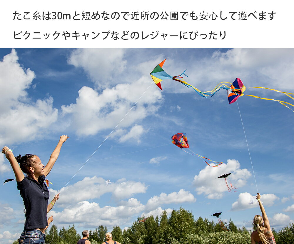 凧 カイト ポケットカイト 凧上げ 紙鳶 凧揚げ タコ揚げ 骨なしカイト 携帯凧 Pocketkite 骨なし 折り畳み 折りたたみ ポケットサイズ 軽量 軽い 持ち運び 凧あげ 外遊び アウトドア キッズ 子供 おもちゃ 玩具 3