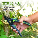 剪定ばさみ 剪定バサミ 庭木 安全ロック付 剪定鋏 手袋付き 収納ケース付 園芸 ケース 園芸ばさみ 剪定鋏ケース 枝切りバサミ 枝切りばさみ ガーデニング 枝切ばさみ 植木ばさみ 剪定 盆栽 生け花 雑貨 枝切 剪定 園芸用はさみ 庭園作業 園芸用品