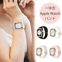 アップルウォッチ バンド ベルト レディース 一体型 かわいい キャンディー ステンレス ブランド おしゃれ メンズ40mm 41mm apple watch series SE 9 8 7 6 5 4 3 2 1 クリア