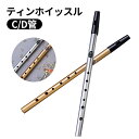 ティンホイッスル C/D管 初心者 中級者向け 管楽器 アイリッシュホイッスルフルート ティンホイッスル アイリッシュホイッスル C管 D管 管楽器 フルート 初心者向け 中級者向け 練習用ホイッスル ケルト音楽 アイリッシュ音楽 トラディショナル楽器