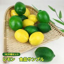 食品サンプル 本物 そっくり レモン リアル 人気 檸檬 れもん 果物 食品模型 食品サンプル 2色 10個セット フルーツ模型 ディスプレイ フェイク 模型 ...