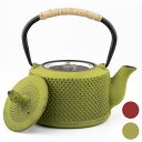 鉄瓶 南部鉄器 直火可 H調理器対応 急須 鉄分補給 やかん 鉄びん 鉄器 鋳物 ガス 電気コンロ 炭火 茶道道具 丸型 茶こし付き 断熱特性に加 伝統工芸品新築祝いや引越し祝い 贈り物には最適850ml グリーン レッド