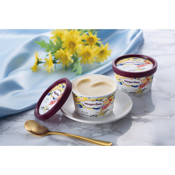 【ブラックフライデー開催中！要エントリー】ハーゲンダッツ スペシャルセット【目録】