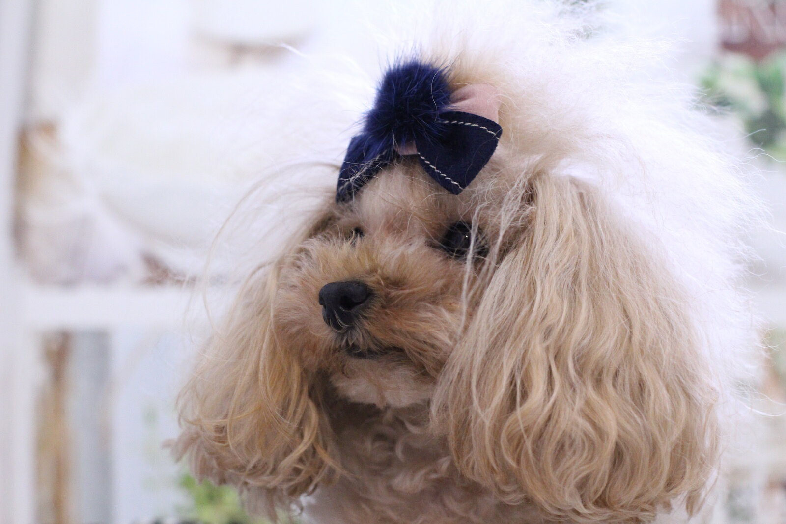 1点もの　ファーリボンバレッタ　犬リボン　新作リボン　有名国内ブランドリボン使...