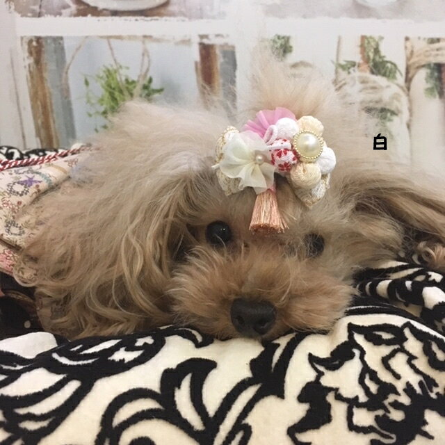 お正月クリップ　アッシュブロンドオリジナル　犬　着物　犬　和リボン　犬　リボン