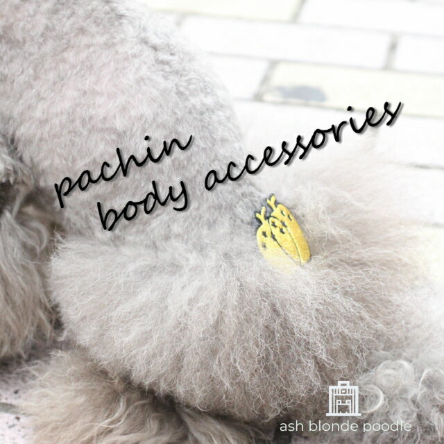 パッチン　ボディ　アクセ ワッペン　pachin body accessories 犬アクセサリー　犬用リボン