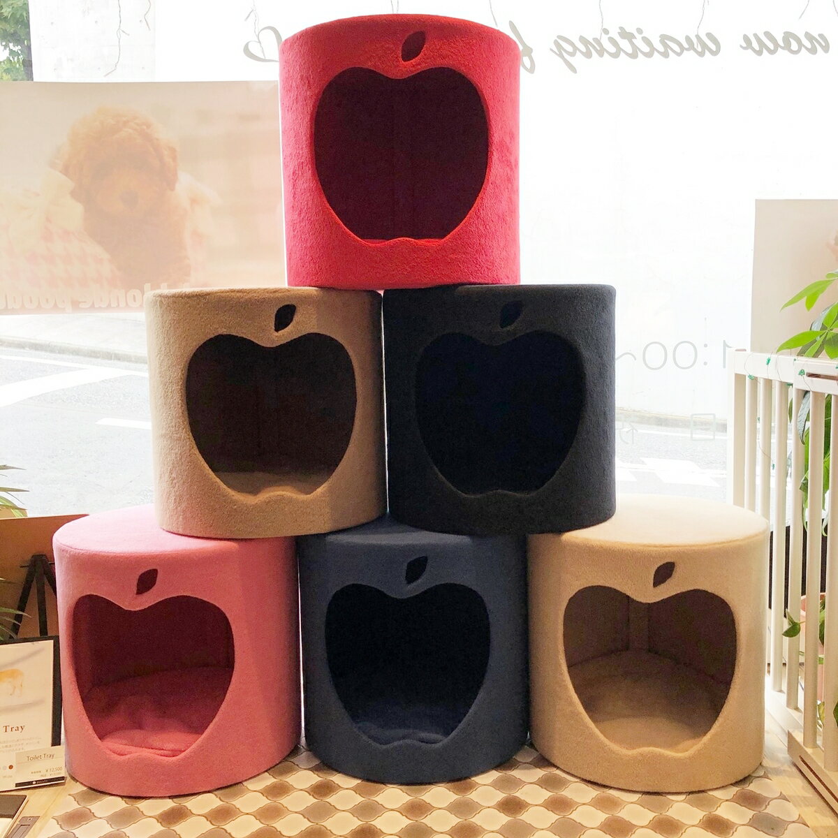 pop room �ݥåץ롼�ࡡ���ѥϥ������������ѥϥ�����ǭ�ѥϥ�����ǭ�ѥ�ӥ󥰡������ѥ�ӥ󥰡����Ѳȶ�ǭ�Ѳȶ񡡸��ѥ٥åɡ����ʡ�����ι���ǤҤȤĤҤȤ���ǫ����¤���Ƥ��ޤ���