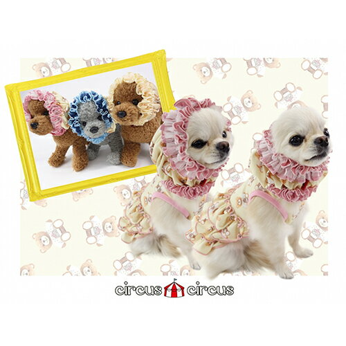 ���������������� Milk Bear ���̡��� �ô��ù� �� circus circus �����å� ���襤�� MILK�٥������̡��ɡ�S������