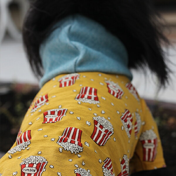 Toi et Moi トワエモア　ポップコーンパーカー　ブランド犬服　犬服　セレブ 2