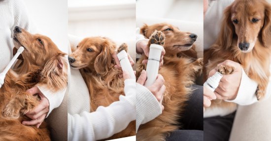 マルチハンディケア　犬　足裏バリカン　犬電動歯ブラシ　犬爪やすり 　小型犬のケア