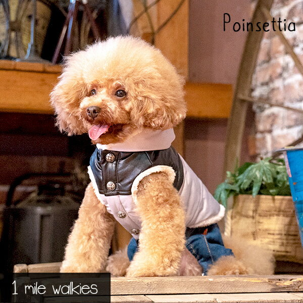 mile walkies　ワンマイルウォーキーズ　 ポインセチア　セレブ犬服　大人可愛い犬服