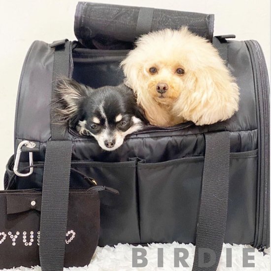 BIRDIE(バーディ) Mサイズ防水フィットライトリュック2 【小型犬 猫 犬用 ペット キャリーバッグ リュック カジュアル　小型犬用リュック