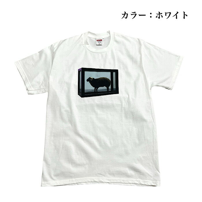 「新品」2025SS Week1 Supreme Damien Hirst Tee(シュプリーム　ダミアン・ハース ...