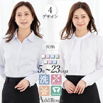 \クーポンご利用で2,090円/【49%OFF】シブラウス レディース 長袖 オフィスカジュアル スーツ インナー 事務服対応 洗える ノーアイロン 透けにくい 体型カバー ワイシャツ風 通勤 春夏 大きいサイズ 即日発送【メール便送料無料/M便1/2】