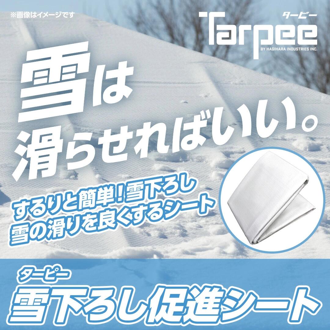 4枚セット 【送料無料】雪おろし促進シート ターピー 2.7m×5.4m(実寸2.62m×5.31m) ...