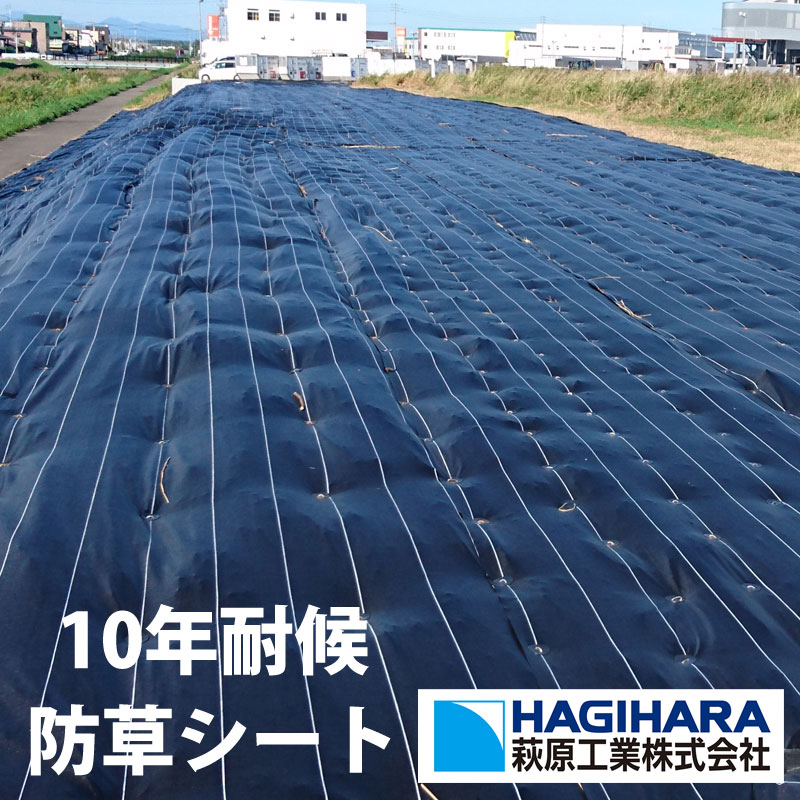 【送料無料】グランドバリアクロス-10 透水性(GBC-10 透水性)　幅2.0m　防草シート　萩原工業製　耐候..
