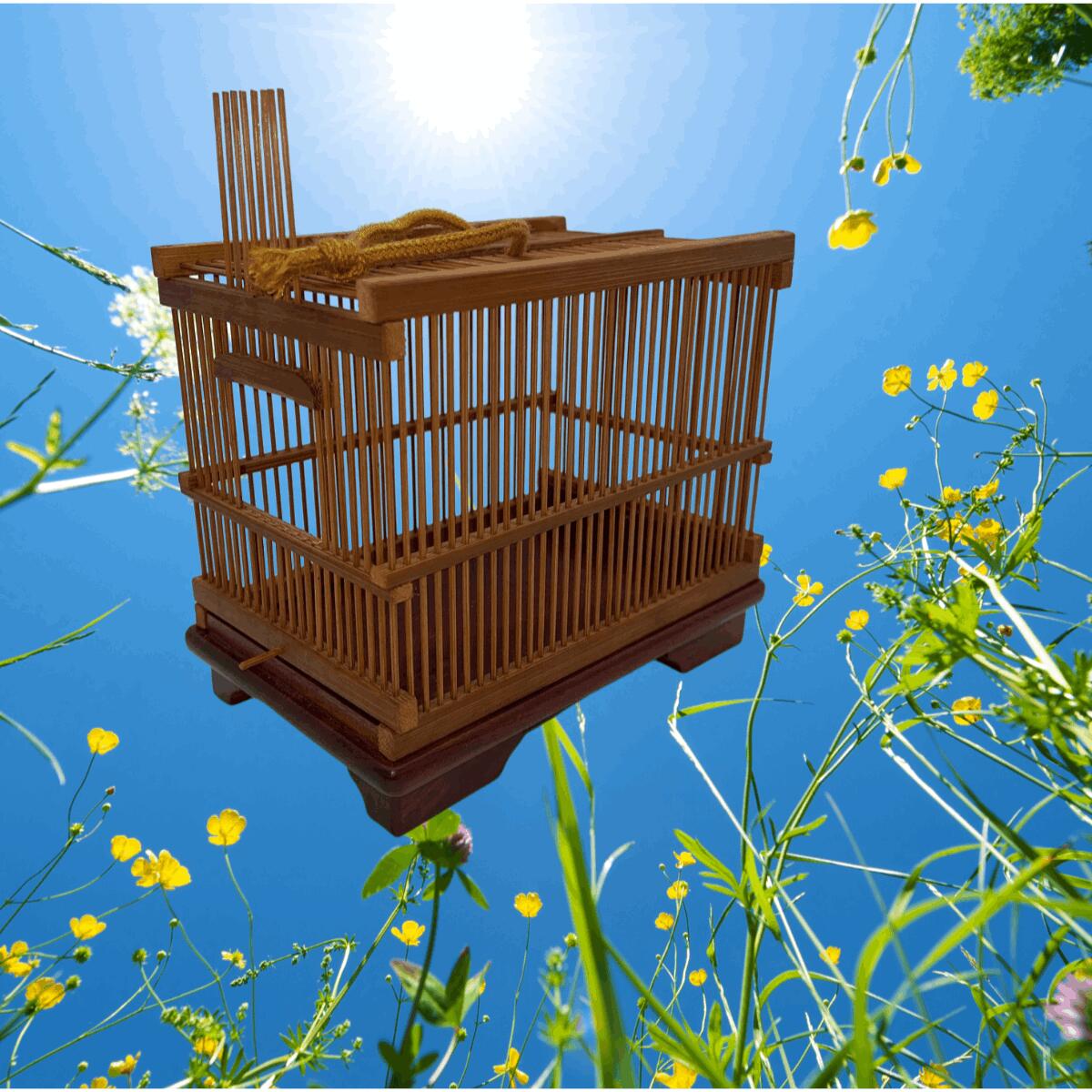 繊細御殿虫籠/竹細工木工芸蛍鈴虫松虫売篭木彫白菜鈴虫付古美術品 Yahoo!オークション -「鈴虫」(木工、竹工芸) (工芸品)の落札相場