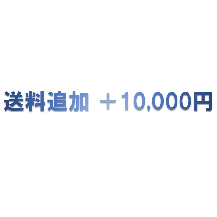 Rakuten - 送料追加 +10000円