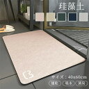 珪藻土バスマット 珪藻土マット 珪藻土 プレゼント ギフト バスマット 足拭きマット 足ふきマット お風呂マット 水切りマット 速乾 吸水 おしゃれ 可愛い か...