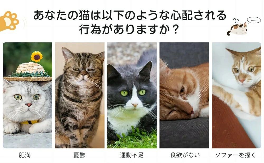 猫用おもちゃ ボール 3色 噛むおもちゃ ひとり遊び用 猫のおもちゃ 猫 グッズ ネコ...