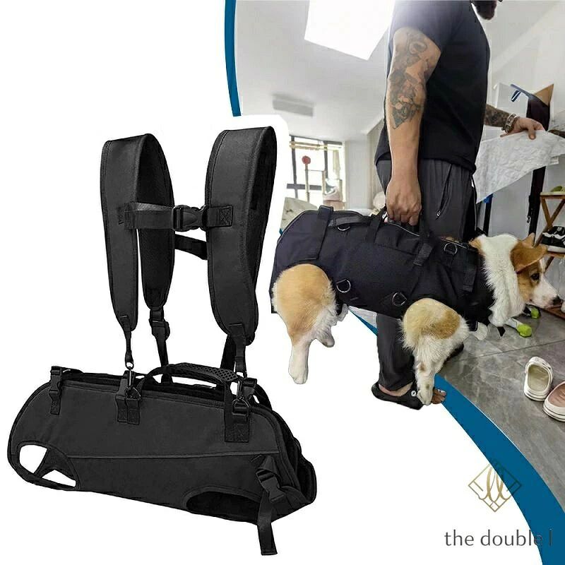 犬用リフトハーネス 調節可能なパッド入り 通気性ストラップ 犬用リフトハーネス 障害者、安定性の低下 犬の散歩用 ペットサポート&リハ