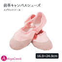 【P10倍】バレエシューズ キッズ 子供 ジュニア 初心者向け 前革キャンバス スプリットソール 16~24cm ダンス バレエ…