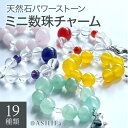 【ミニ 数珠チャーム】 天然石 本水晶 パワーストーン 数珠 アクセサリー 選べる 19種類 数珠 アクセサリー 水晶 お守り 風水グッズ 運気 アップ グッズ...