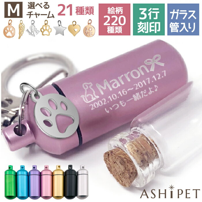 ڥ㡼դۢ¿μ긵8åȢ  ۥ M 饹 7 220 3Թ ASHIPET ץ ڥåȥץ ꥢBOX    ꡼ ڥå  ʬ  ʩ ̾ Ź¤ ¿ ǭ  Ļ