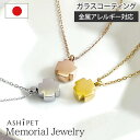 【金属アレルギー 対応】【品質重視の正規品/ASHIPET正規店】遺骨ペンダント ステンレス【メモリアルジュエリー<クロス>】全3色 刻印なし 手元供養 6点セット ペット 遺骨ネックレス ペットロス ペンダント 遺骨アクセサリー 犬 猫 ペット 仏具 分骨 ミニ 骨壺 日本製