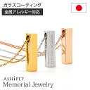 【金属アレルギー 対応】ASHIPET 遺骨ペンダント ステンレス【メモリアルジュエリー＜レクタングル＞】全3色【裏面 名入れ 刻印】 手元供養 6点セット 遺骨ネックレス メモリアルペンダント ペット 遺骨 アクセサリー 犬 猫 遺骨入れ ペット 遺骨カプセル 分骨 骨壺 安心