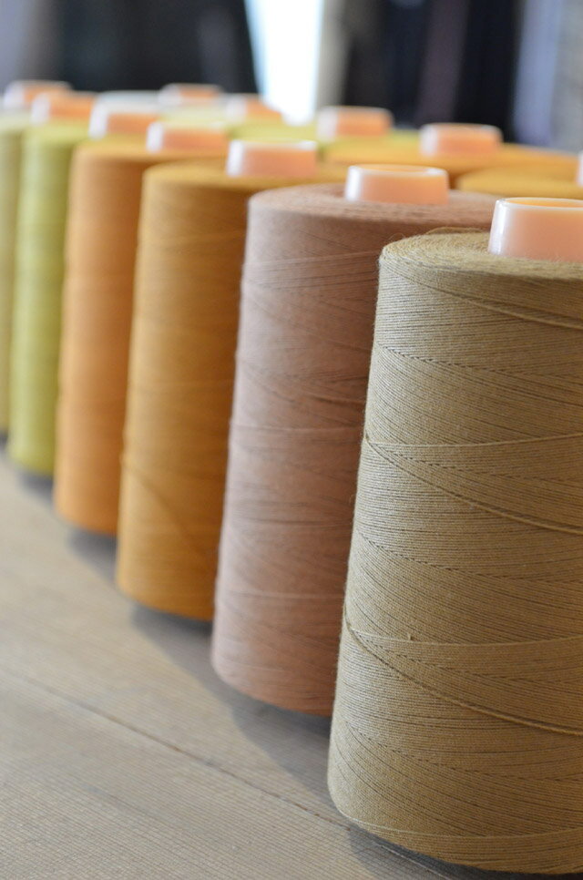 �������󥹥ƥå����ؤ�(�ڤ餺��) ����ǥ��� ���ᥫ�� ����ץ� �����ˡ� ������, �ǥ˥�ѥ�� �磻�� �꡼�Х��� ����