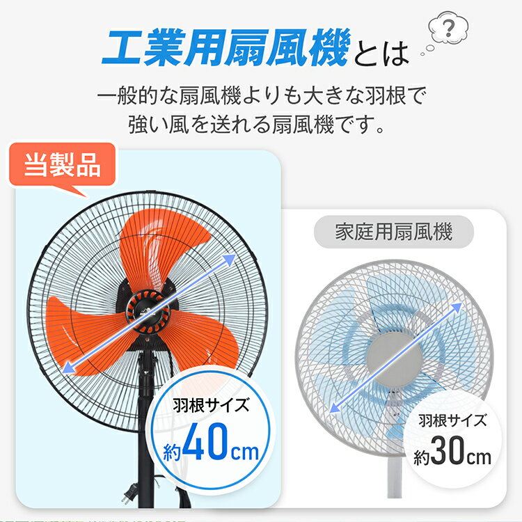 ��Ⱦ�ۥ����ݥ�2/10����������̵���� ���������� ���� ������� ������ ��̳�� ������ ������40cm 3�籩�� �緿������ ��������졼���� ���� ������ �۴� ���� ���� �ʥ��� ������ư�󿶤� �岼����Ĵ�� ����3�ʳ� ���� �Ҹ� ���� ���Ȼ��� �����߷� cc050